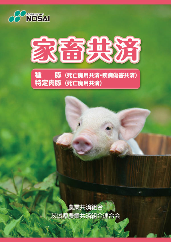 家畜共済（種豚・特定肉豚）