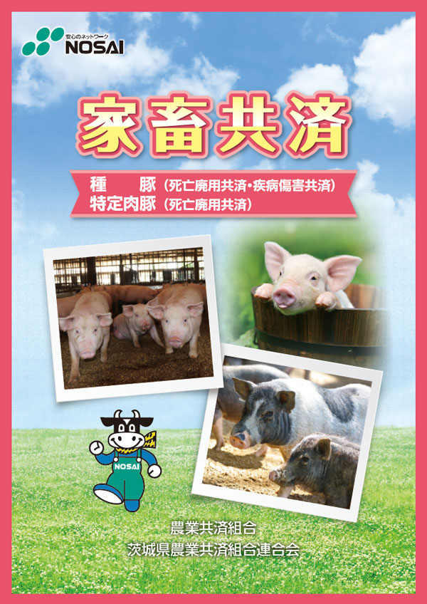 家畜共済（種豚・特定肉豚）