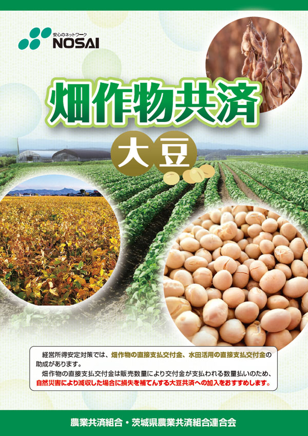 畑作物共済（大豆）
