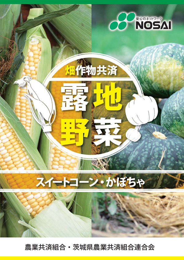 畑作物共済（露地野菜）