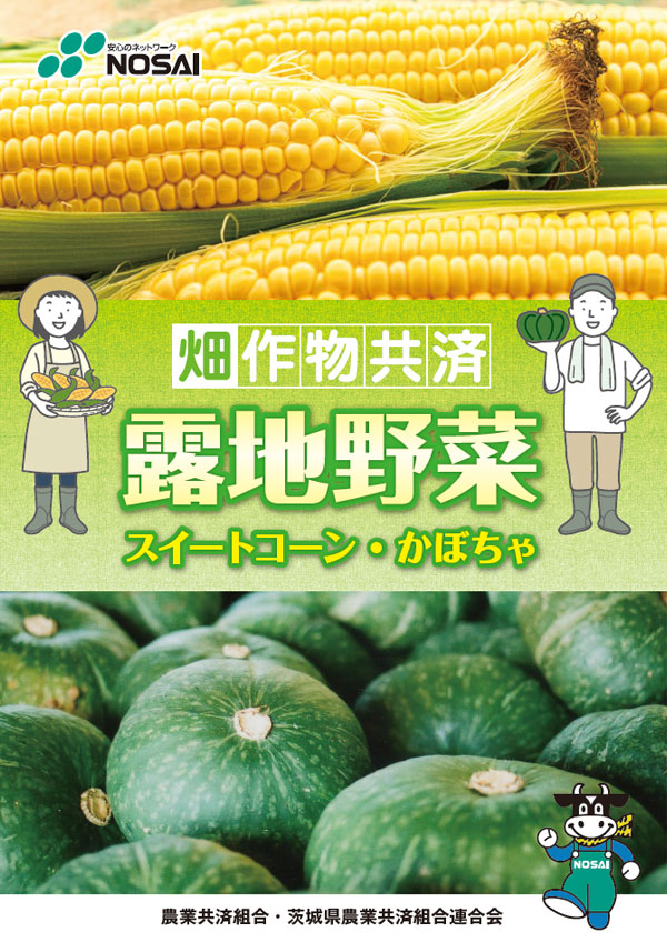 畑作物共済（露地野菜）