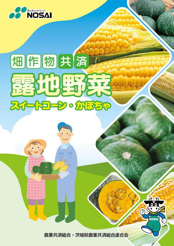 畑作物共済（露地野菜）
