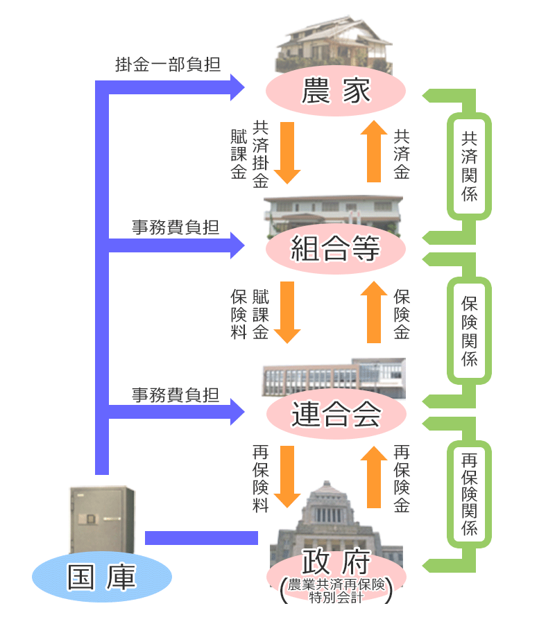 NOSAIの仕組み